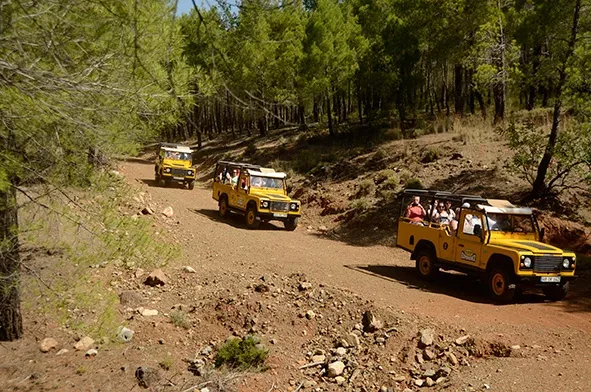 Jeep-Safari-Tour
