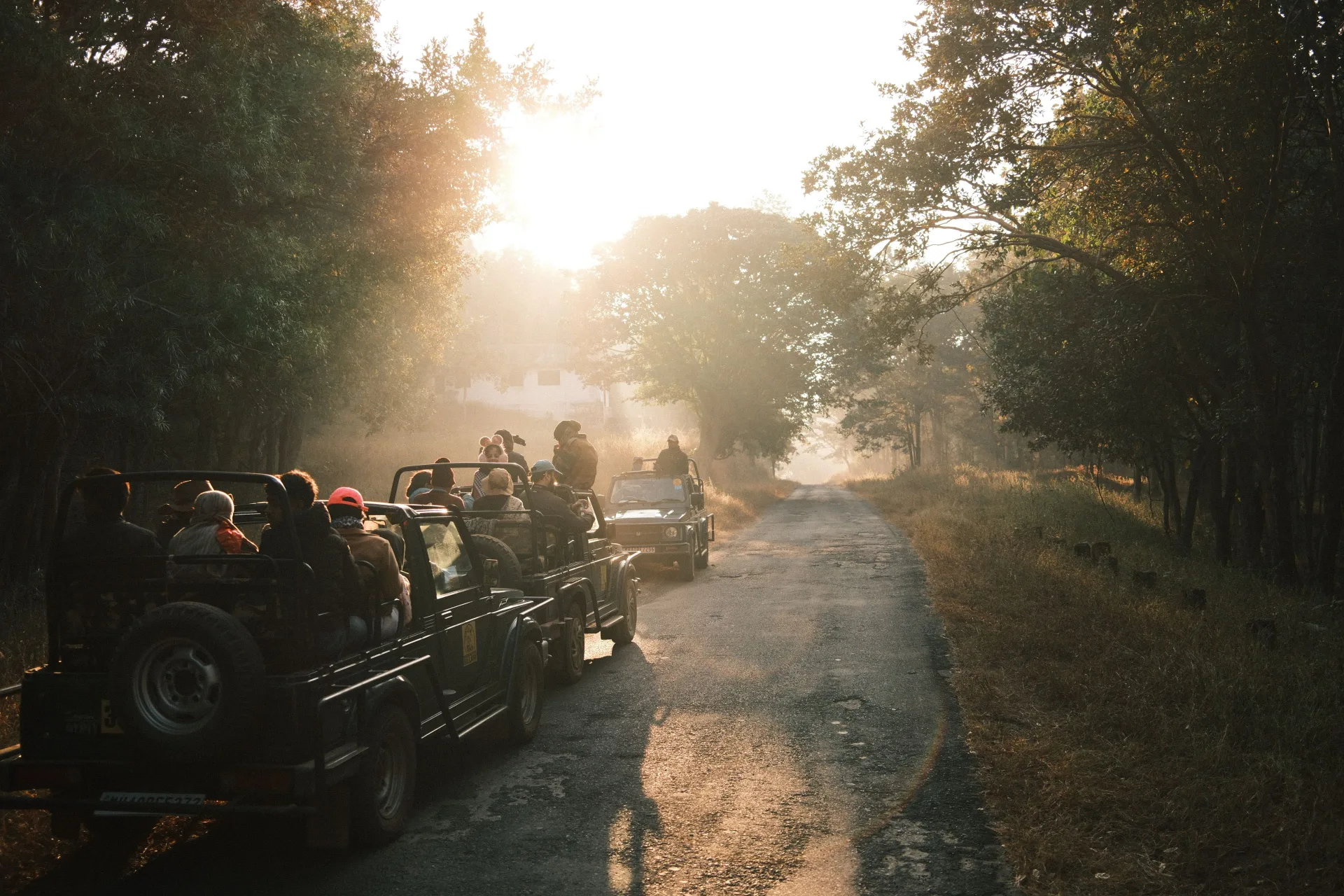 Jeep Safari Tour